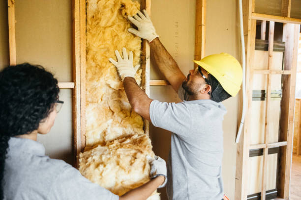 Best Insulation Inspection Services  in Smethport, PA